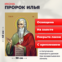 Освященная икона на холсте "Илья Пророк"